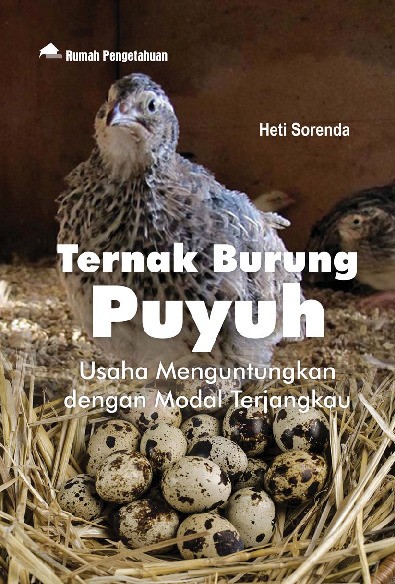 Ternak Burung Puyuh; Usaha Menguntungkan dengan Modal Terjangkau